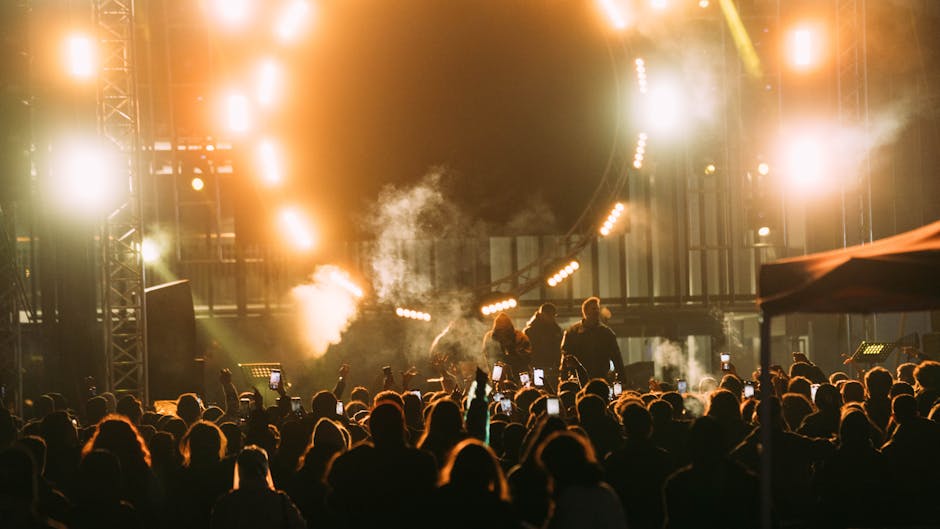Concerto dal vivo e festival musicale